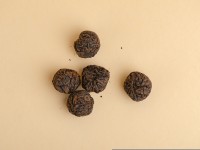 Шу пуэр Мэнхайские шарики "Хранители Чайного Мира", 8 шт., 55-60 г. Шу пуэр Мэнхайские шарики "Хранители Чайного Мира", 8 шт., 55-60 г.