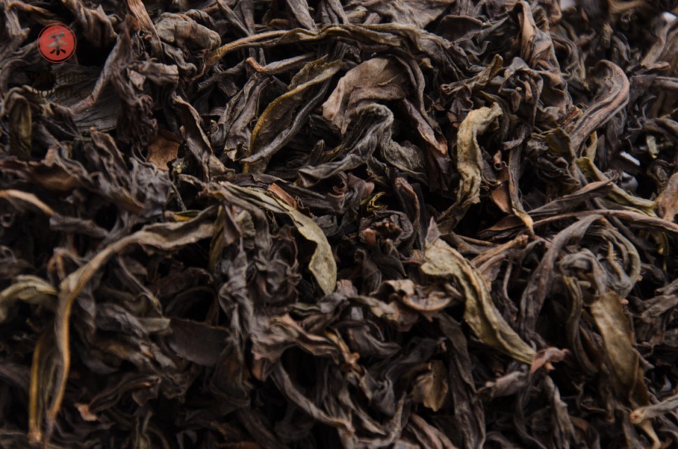 Цзинь Бьен Ци Лань "ААА" (Чудесная Орхидея)