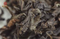 Цзинь Бьен Ци Лань "ААА" (Чудесная Орхидея) Цзинь Бьен Ци Лань "ААА" (Чудесная Орхидея)