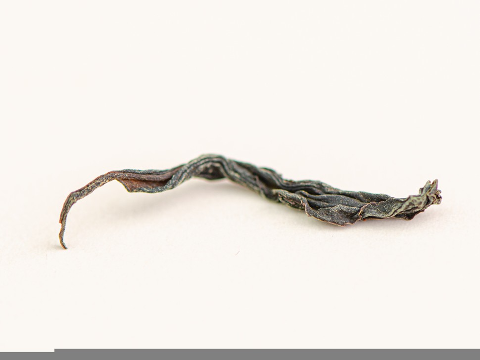 Уи Шань Е Шен Хун Ча "АА" (Дикий Красный из Уишани), весна 2025 г.