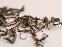 Шэн пуэр "Мао Ча Чжан Сян" (камфорный аромат), Бано Ча Шань, 2016 г.