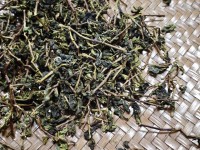 Чжэн Шань Цун Мао Ча Те Гуань Инь, осень 2025 г.