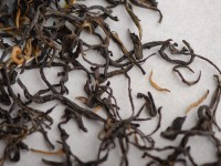 Су Ху Шай Хун, с 300-летних деревьев, 2025г.