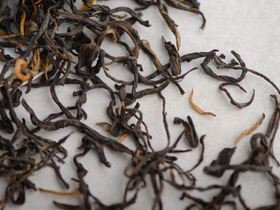 Су Ху Шай Хун, с 300-летних деревьев, 2025г.