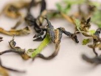 "Нин Мэн Хун Ча" (Дянь Хун с лимонником), 2025г.