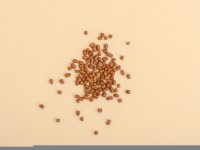 Гречишный чай, Ку Цяо Май (гречиха) "Хранители Чайного Мира" Премиум, 100 г.