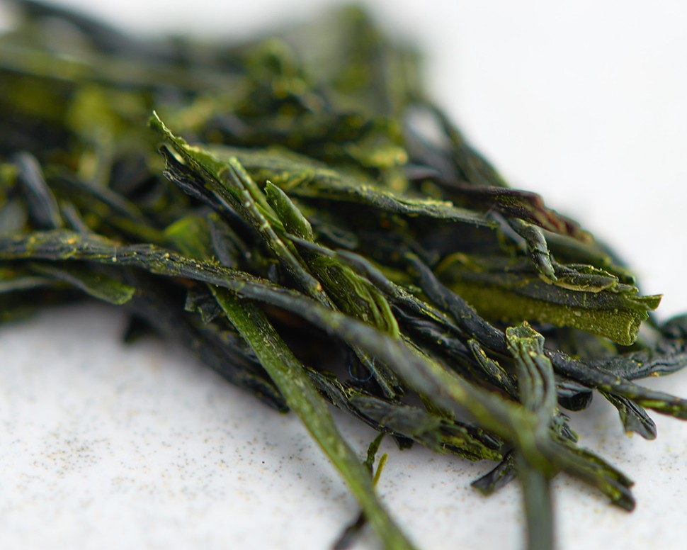 Гёкуро "ААА", 2025г.