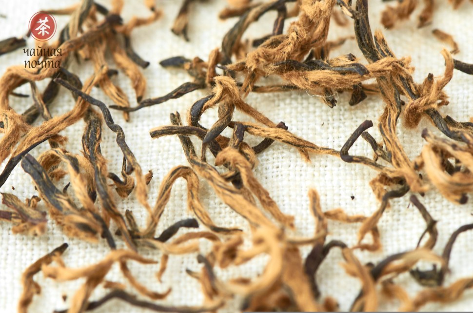 Цзинь Цзюнь Мэй "ААА" (Золотые Брови), 2025г.