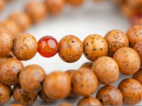 Четки #119, из семян Лотоса на резинке, 108 бусин, 8 мм.