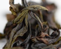 Ци Лань "АА" (Чудесная Орхидея) Ци Лань "АА" (Чудесная Орхидея)