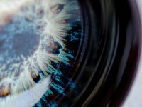 Пиала #2154, 65 мл., керамика, глазурь Пиала #2154, 65 мл., керамика, глазурь