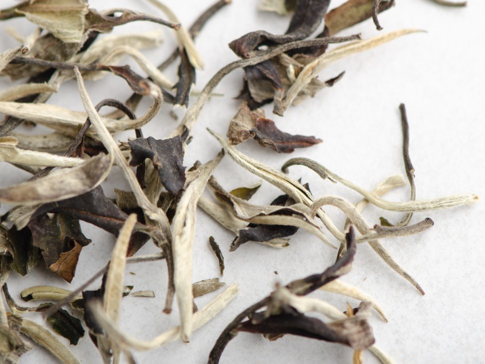 Юэ Гуан Бай "АА" (Белый Лунный Свет), весна 2025 г.