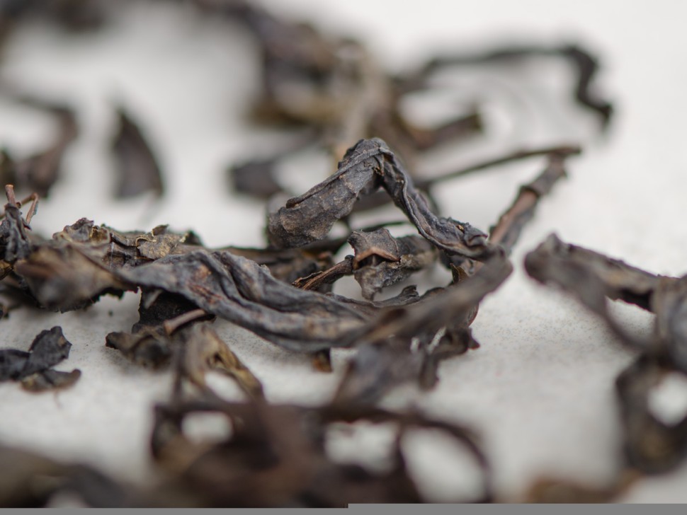 Иван-чай "Озерный", 2025г.