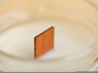 Ароматическая свеча с деревянным фитилем "Белая омела" 200 мл. Ароматическая свеча с деревянным фитилем "Белая омела" 200 мл.