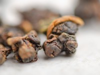 ГАБА Ли Шань "ААА" ГАБА Ли Шань "ААА"