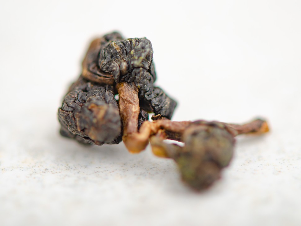 ГАБА Ли Шань "ААА"