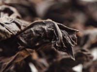 Фо Шоу Гао Хо "АА" (Ладонь Будды Сильного Прогрева) Фо Шоу Гао Хо "АА" (Ладонь Будды Сильного Прогрева)