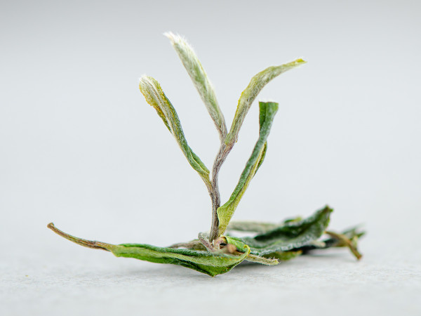 Белый чай "Роса", Ткибули, Грузия, 2025г.  