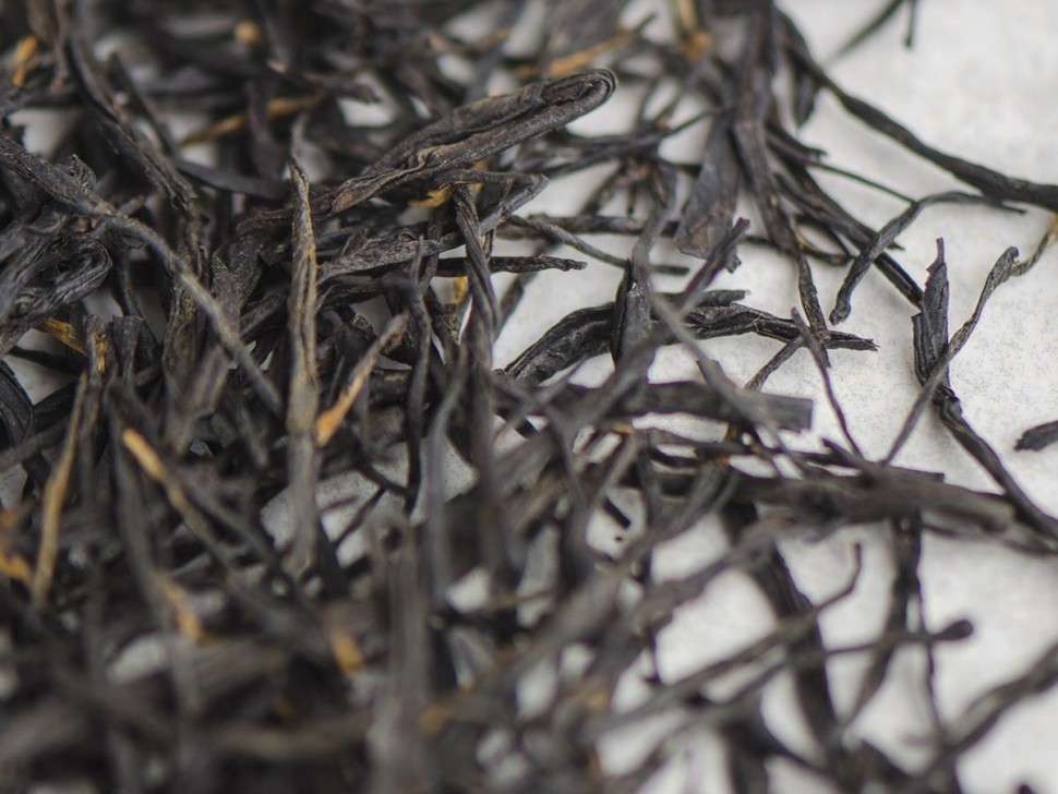 Ежевика Чжун Го Хун  "ААА", 2025 г.