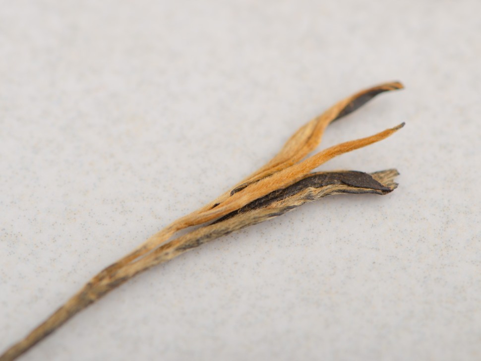 Дянь Хун Сун Чжэнь "АА" (Сосновые Иглы), 2025г.