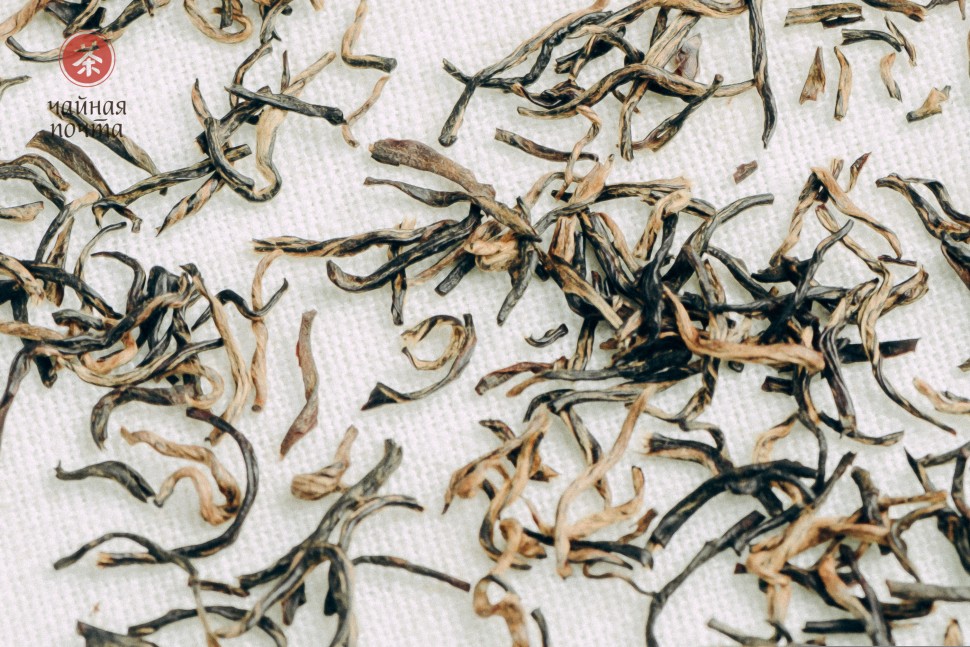 Хэй Чжен Чжу "ААА" (Истинный Черный Жемчуг), 2025г.