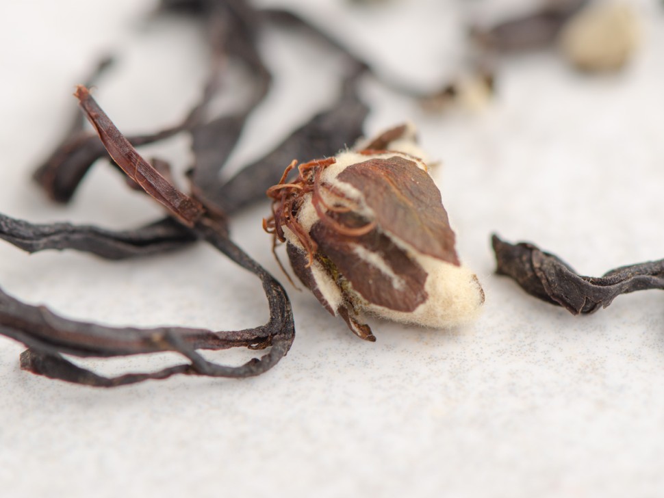 Су Ху Шай Хун с Айвой "АА", 2025г.