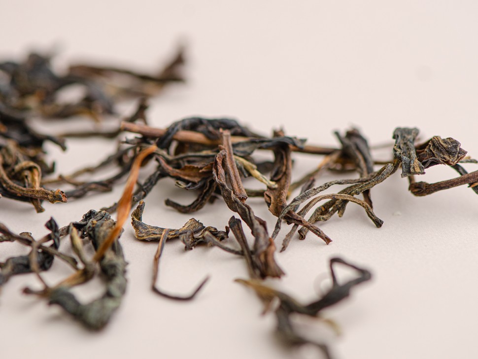 Шэн пуэр "Мао Ча Чжан Сян" (камфорный аромат), Бано Ча Шань, 2016 г.