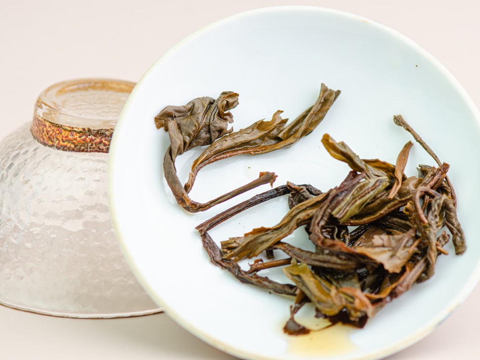 Шэн пуэр "Мао Ча Чжан Сян" (камфорный аромат), Бано Ча Шань, 2016 г.