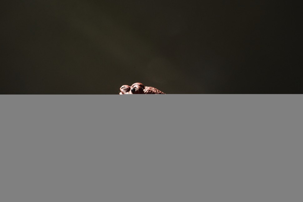 Чайник #2040, 100 мл., исинская глина.