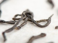 Вай Шань Сяо Чжун "А" (Малый Вид с Внешних Гор)