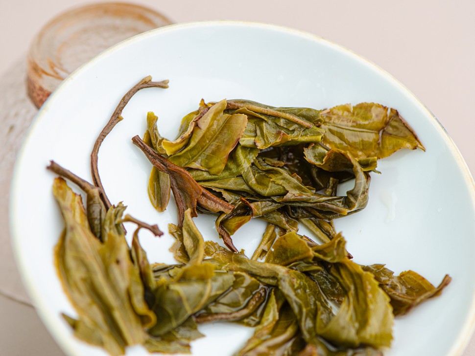 Шэн пуэр "Мао Ча Шуй Го Сян" (фруктовый аромат), Манфэй, 2025 г.