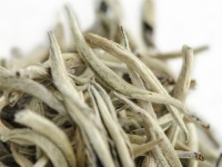 Гу Шу Бай Я "АА" (Белые Почки с Древних Деревьев), Юньнань, 2024 г. Гу Шу Бай Я "АА" (Белые Почки с Древних Деревьев), Юньнань, 2024 г.