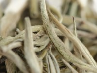 Гу Шу Бай Я "АА" (Белые Почки с Древних Деревьев), Юньнань, 2024 г. Гу Шу Бай Я "АА" (Белые Почки с Древних Деревьев), Юньнань, 2024 г.