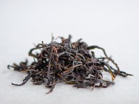 Ю Цзы Сян Даньцун, 2025г.