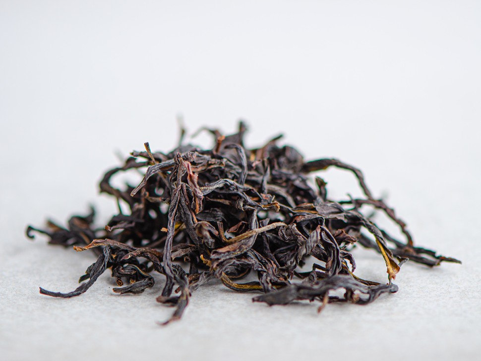 Ю Цзы Сян Даньцун, 2025г.