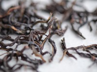 Ю Цзы Сян Даньцун, 2025г.