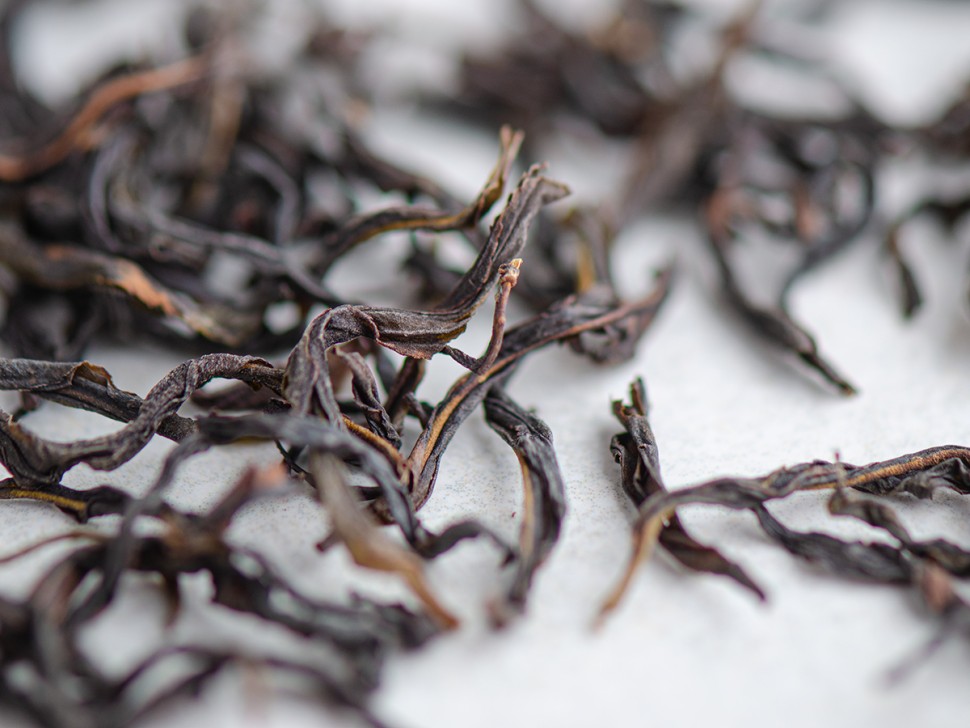 Ю Цзы Сян Даньцун, 2025г.