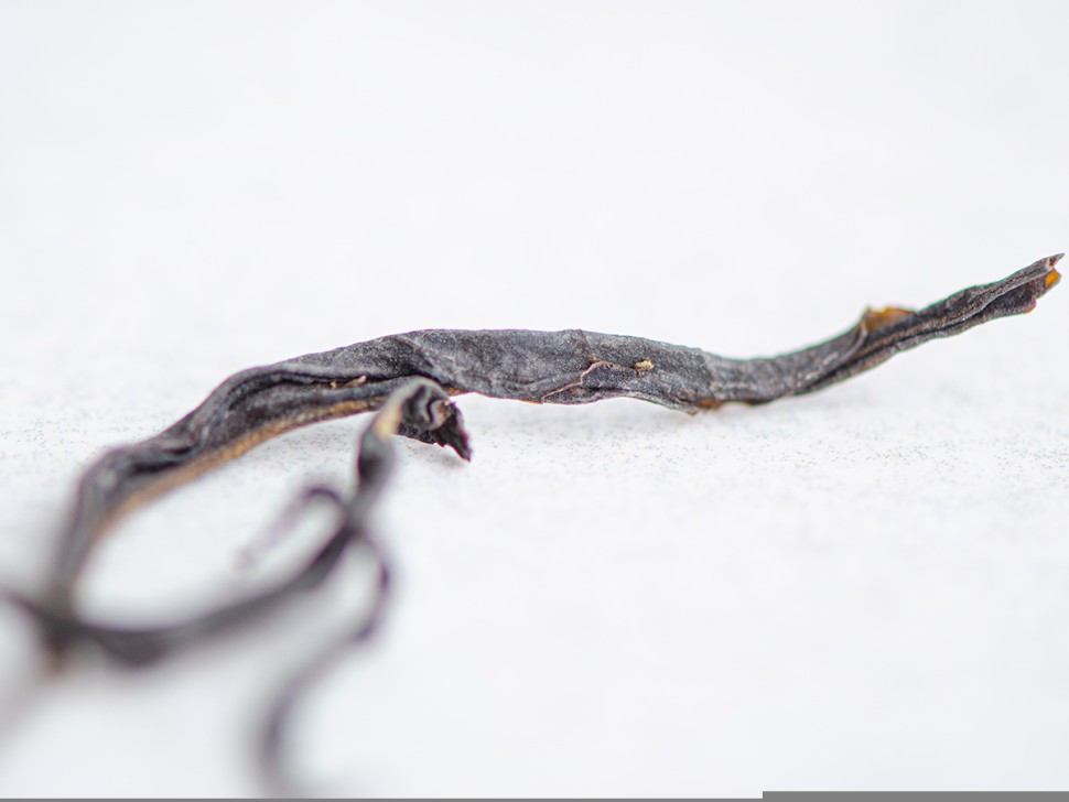 Ю Цзы Сян Даньцун, 2025г.