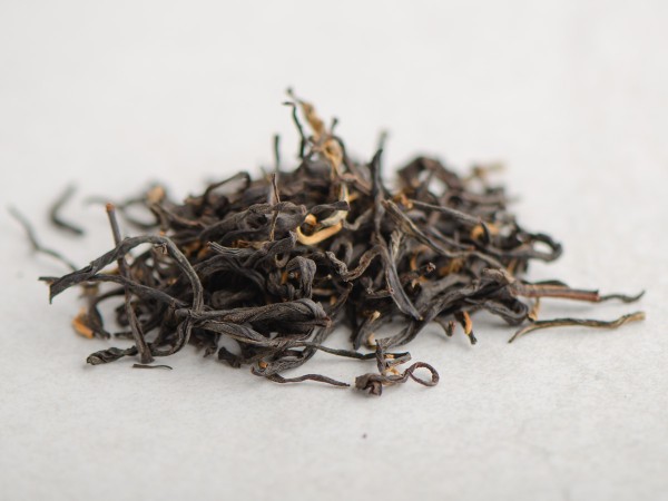 Су Ху Шай Хун, с 300-летних деревьев, 2025г.