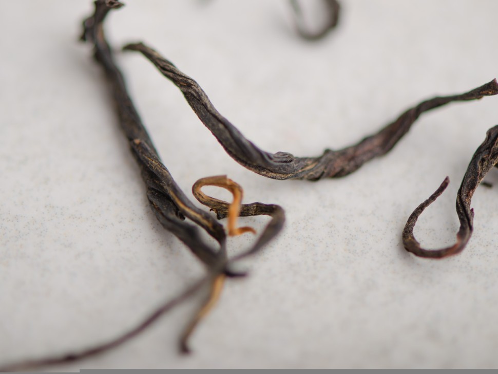 Су Ху Шай Хун, с 300-летних деревьев, 2025г.