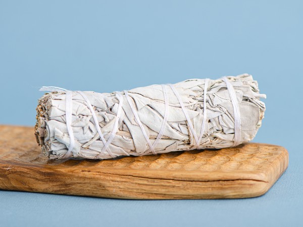 Шалфей Калифорнийский белый Mini, 11см.