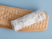 Шалфей Калифорнийский белый Mini, 11см. Шалфей Калифорнийский белый Mini, 11см.