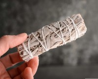 Шалфей Калифорнийский белый Mini, 11см.