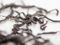 Чжи Лун Кан Дань Цун "ААА", (Куриный Загон или Аромат Домашнего Очага)