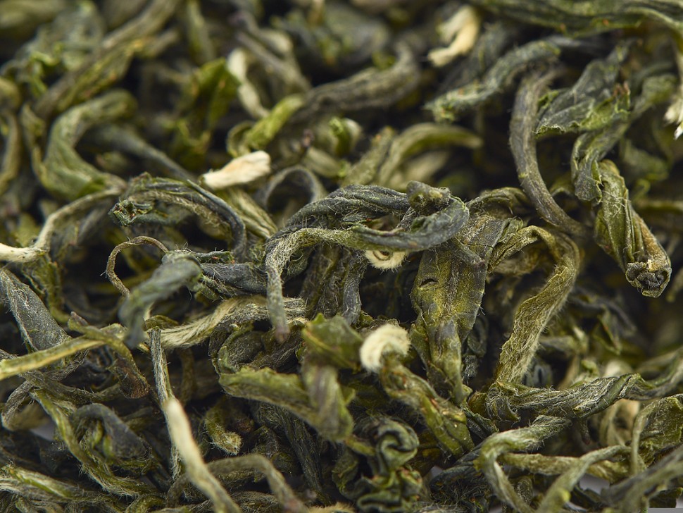 Би Ло Чунь "АА" (Изумрудные Спирали Весны), 2025г.