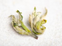 Ми Я Сучжоу Би Ло Чунь "ААА", весна 2026г. 