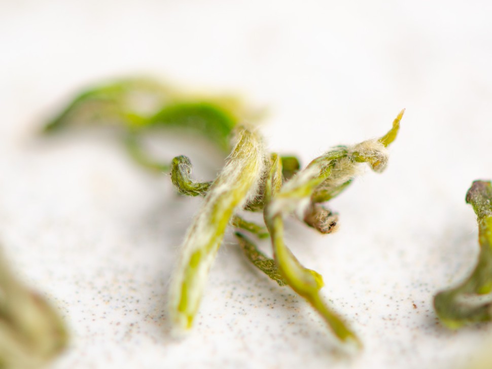 Ми Я Сучжоу Би Ло Чунь "ААА", весна 2026г. 