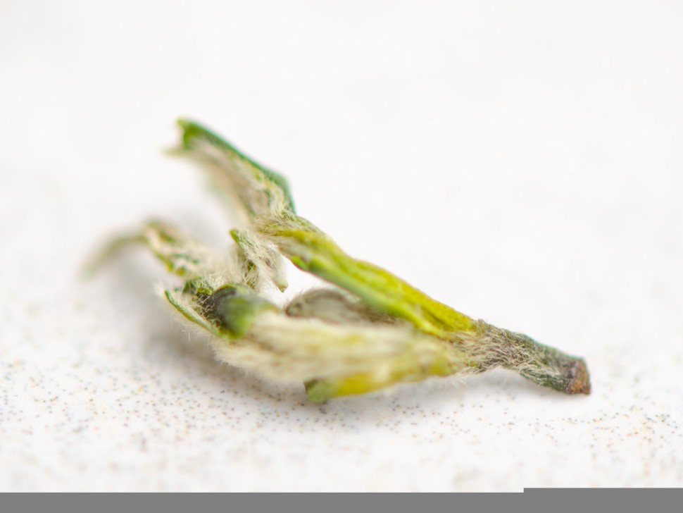 Ми Я Сучжоу Би Ло Чунь "ААА", весна 2026г. 