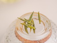 Мэн Дин Хуан Я "ААА" из заповедника (Желтые Почки из Мэн Дина), 2025 г. Мэн Дин Хуан Я "ААА" из заповедника (Желтые Почки из Мэн Дина), 2025 г.