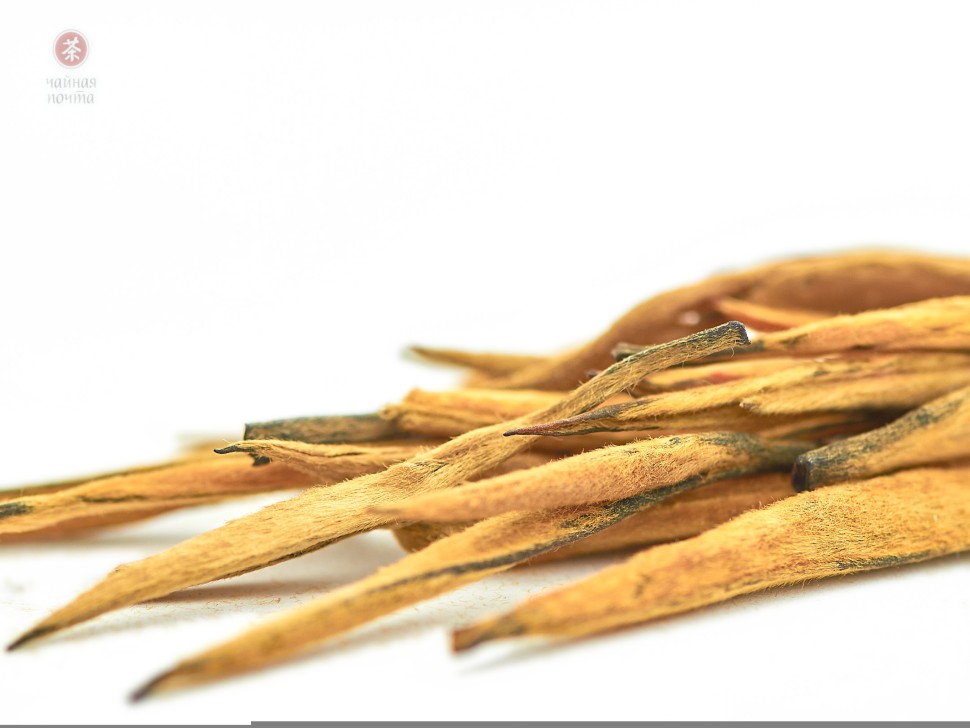 Дянь Хун Да Цзинь Чжэнь Ван "ААА", 2025г.